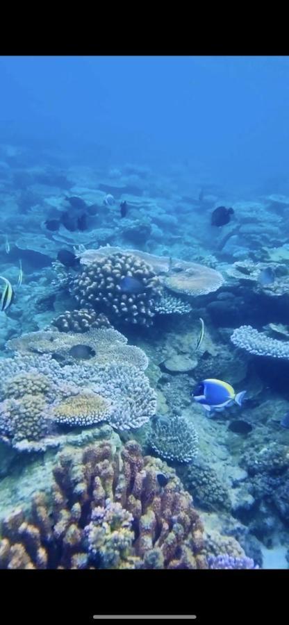SeaGate Bungalows Sabang  Bagian luar foto